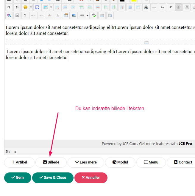 udgiv nyhed indsæt billede