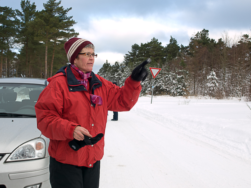 lilleheden-4.jpg lilleheden-4.jpg